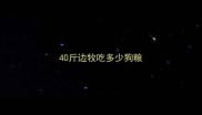 40斤边牧吃多少狗粮