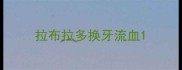 拉布拉多换牙流血