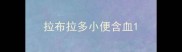 拉布拉多小便含血