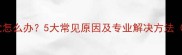 狗狗半夜不睡觉怎么办5大常见原因及专业解决方法附护理指南