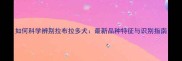 如何科学辨别拉布拉多犬最新品种特征与识别指南