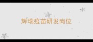 辉瑞疫苗研发岗位