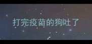 打完疫苗的狗吐了