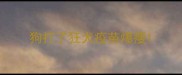 狗打了狂犬疫苗爆瘦