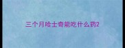 三个月哈士奇能吃什么药