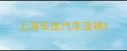 上海长途汽车宠物