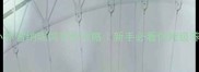 四个月小体雪纳瑞饲养全攻略新手必看保姆级养宠指南