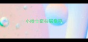 小哈士奇拉屎臭吗