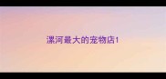 漯河最大的宠物店