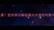 狗狗能不能吃板栗营养师详解板栗对犬类的利弊与安全食用指南