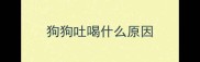 狗狗吐喝什么原因