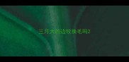三月大的边牧换毛吗