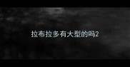 拉布拉多有大型的吗