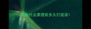 狗狗托运要提前多久打疫苗
