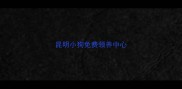 昆明小狗免费领养中心