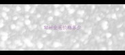 常州金毛价格多少
