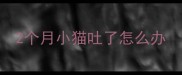 2个月小猫吐了怎么办