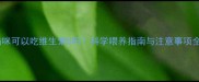 猫咪可以吃维生素B吗科学喂养指南与注意事项全