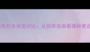 罗威纳vs拉布拉多体型对比从饲养指南看哪种更适合家庭犬