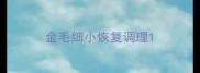 金毛细小恢复调理