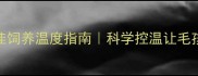 金毛犬最佳饲养温度指南科学控温让毛孩子更健康