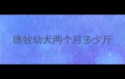 德牧幼犬两个月多少斤