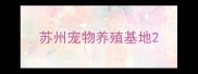 苏州宠物养殖基地