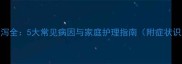 狗狗白色粘液腹泻全5大常见病因与家庭护理指南附症状识别与就医时机