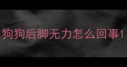 狗狗后脚无力怎么回事