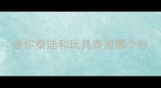 迷你泰迪和玩具泰迪哪个好