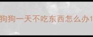 狗狗一天不吃东西怎么办