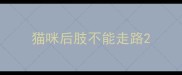 猫咪后肢不能走路