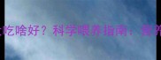 金毛幼犬1个月大吃啥好科学喂养指南营养搭配与禁忌清单