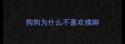 狗狗为什么不喜欢摸脚