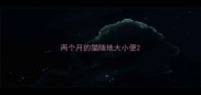 两个月的猫随地大小便