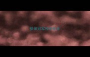 登录冠军拉布拉多
