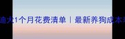 泰迪犬1个月花费清单最新养狗成本表