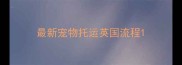 最新宠物托运英国流程
