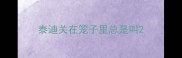 泰迪关在笼子里总是叫