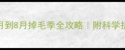 哈士奇换毛高峰期5月到8月掉毛季全攻略附科学护理指南附对比图