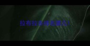 拉布拉多排名第几
