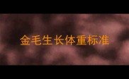 金毛生长体重标准