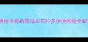 绝育后便秘自救指南母拉布拉多便便难题全解决