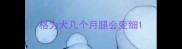 格力犬几个月腿会变细