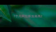7个月阿拉斯加肩高