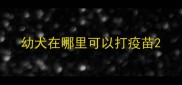 幼犬在哪里可以打疫苗
