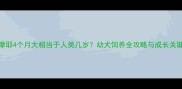 萨摩耶4个月大相当于人类几岁幼犬饲养全攻略与成长关键期