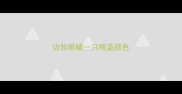 边牧眼睛一只眼蓝颜色