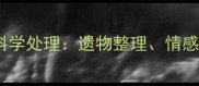 哈士奇离世后如何科学处理遗物整理情感疗愈与法律建议全