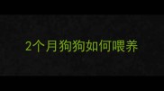 2个月狗狗如何喂养
